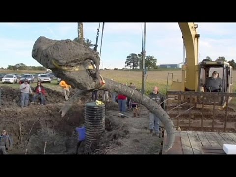 فلاح أميركي يعثر على بقايا حيوان ماموث في مزرعته