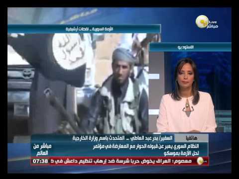 القاهرة تؤكد أنَّ الأزمة السورية تمس الأمن المصري والعربي