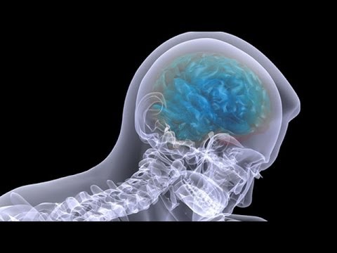 البصل الحل السحري لتنظيف وتجديد خلايا الدماغ