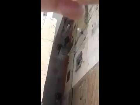 مجرم بسكين يستعمر حيًا بأكمله