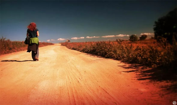 فلسطين اليوم -