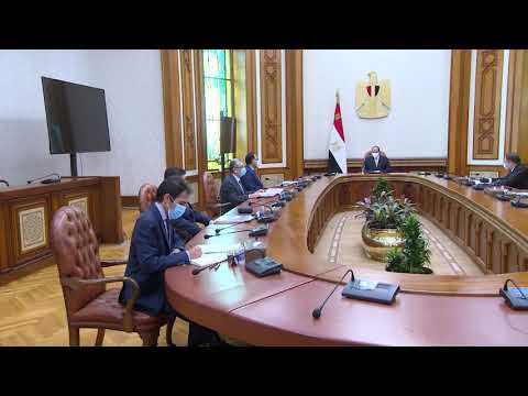 شاهدالرئيس المصري السيسي يستقبل مدير روس أتوم الروسية